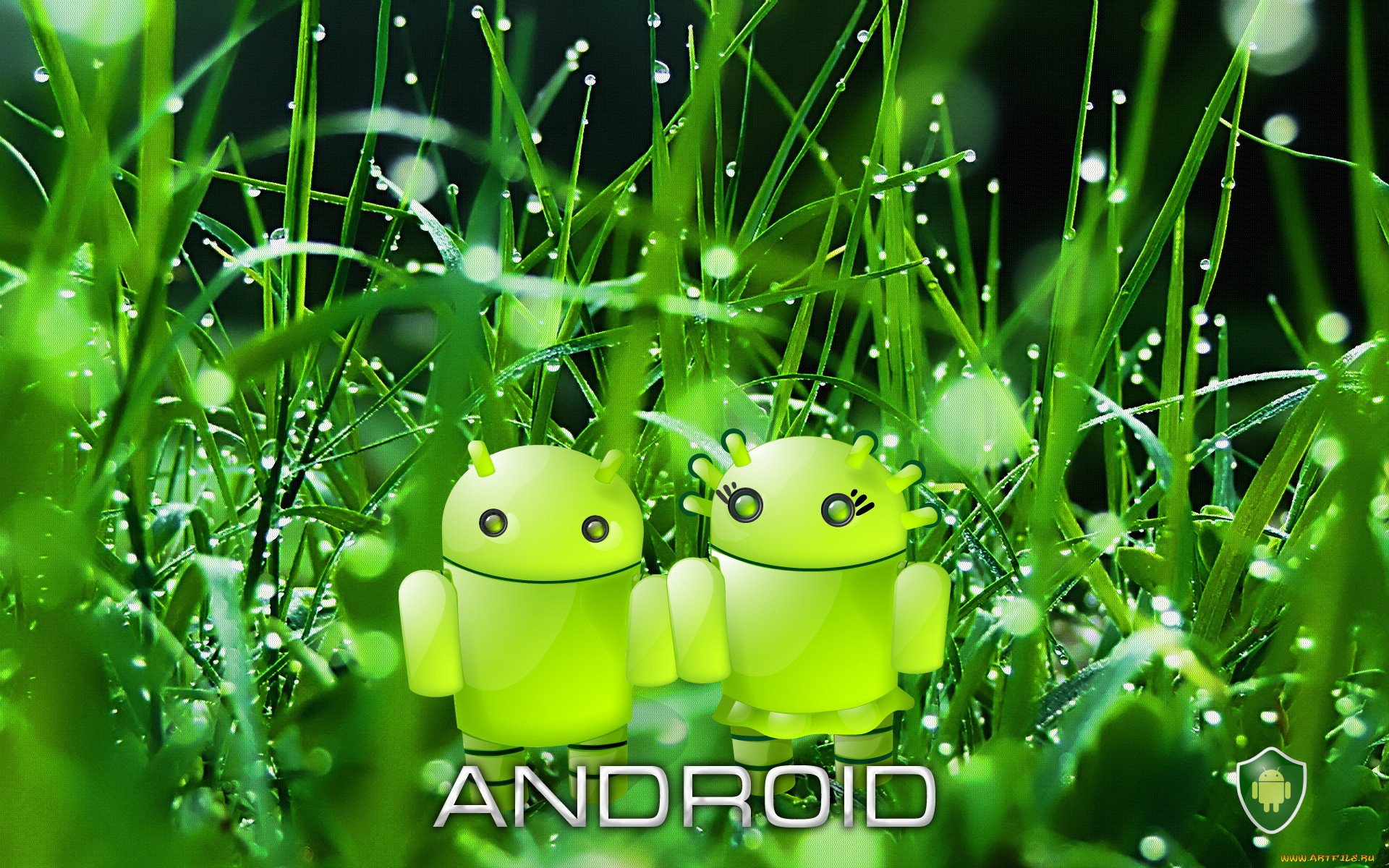 , android